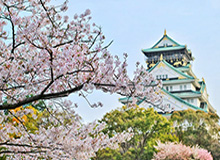 MK体育登录入口-小卡训练师嘲讽詹皇Kuz点赞？春秋笔法造宫斗大戏